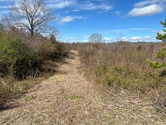 n/a Holt Spur Rd, Jamestown, TN 38556