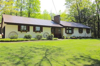 9717 Partridge Rd, Colden, NY 14033