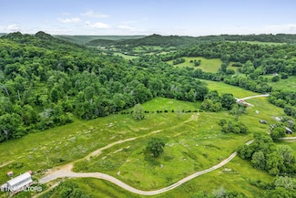 0 Little Salt Lick Creek Rd, Pleasant Shade, TN 37145