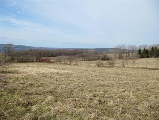 1610 Ripley Rd, Tully, NY 13159