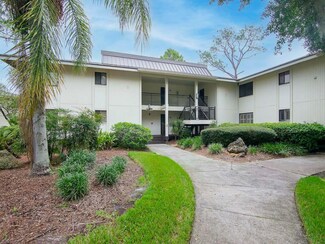 29147 Bay Hollow Dr Unit 3217, Wesley Chapel, FL 33543