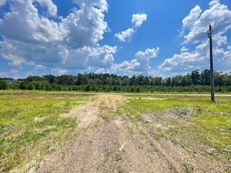 0 Tbd Barfield Rd Unit LotWP001 21480993, Nichols, SC 29581
