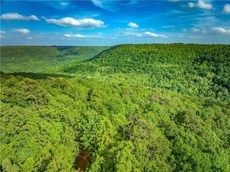 213 Scenic Dr, Witts Springs, AR 72686