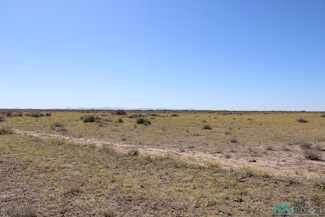 0 Lima Rd SE Unit 20231796, Deming, NM 88030