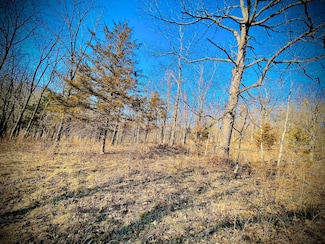 0 Dunn Dr Ofc, Edwards, MO 65326