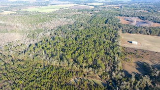X Logan Loop, Malone, FL 32445