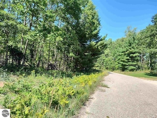 0 N Circle East Dr Unit 1939945, Surrey Township, MI 48622