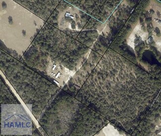 10 AC Scrub Oak Ln, Ludowici, GA 31316