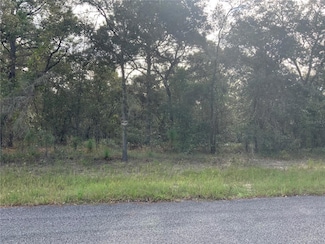 00 SE 139th Terr Lot 11, Morriston, FL 32668