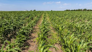 TBD Hwy 15, Tonkawa, OK 74653