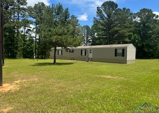12700 Unit 12714 County Road218, Tatum, TX 75691