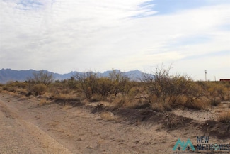 0 Dr Unit 78 Bk 15 Lots 1-4 Unit 20216271, Deming, NM 88030