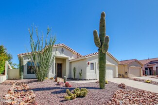 33 E Big Wash Place, Oro Valley, AZ 85755