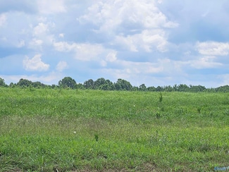 114 Treva Ln, Hazel Green, AL 35750