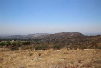 11345 Rayland Dr, Kagel Canyon, CA 91342