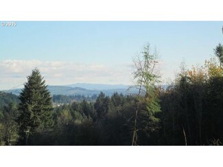 0 Johnson Rd Unit 15594612, Vader, WA 98593