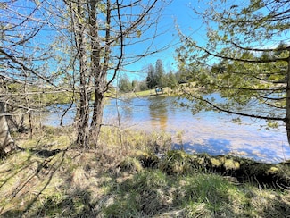 Off River Edge, Cheboygan, MI 49721