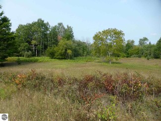 Lot 2 Shields Dr, Beulah, MI 49617