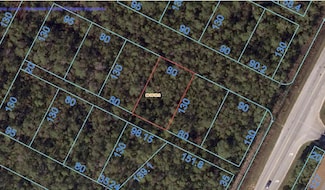 083S321301003005 Inaccessible Track, Pensacola, FL 32507