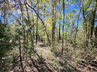 00 Pine Dr, Bronson, FL 32621