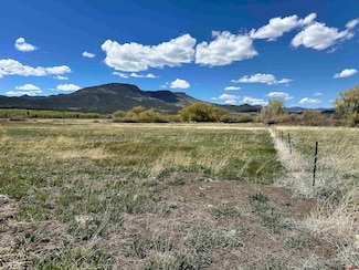 Tract 4 El Dorado Ln, South Fork, CO 81154