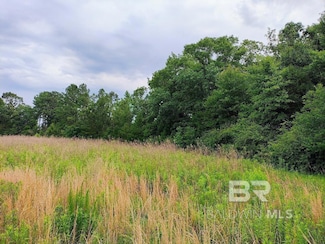 000 County Road 69, Coffeeville, AL 36524