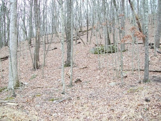 2.65 Acres Decker Rd, Saw Creek, PA 18324