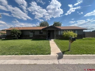 990 Mountain View Ct, Montrose, CO 81403