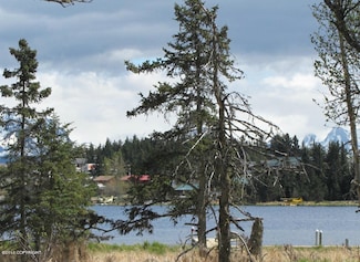 3668 Ben Walters Ln, Homer, AK 99603