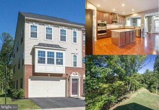 22943 Chinkapin Oak Terrace, Sterling, VA 20166