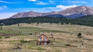 381 Cynthia Ln, Westcliffe, CO 81252
