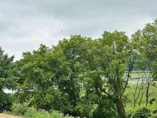 TBD County Road 43, Laketown Township, MN 55318