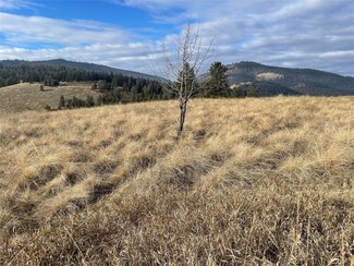 NHN S Rim, Polson, MT 59860