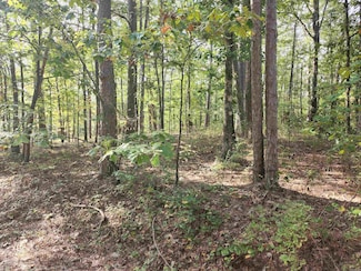 65 Extrano Cir, Hot Springs Village, AR 71909