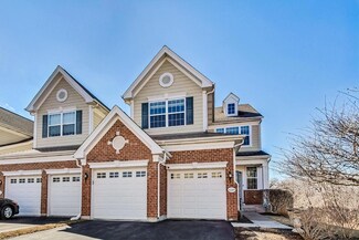 1245 Falcon Ridge Dr, Elgin, IL 60124
