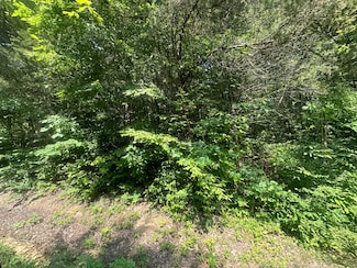 Lot 25 Rock Springs Rd, Celina, TN 38551