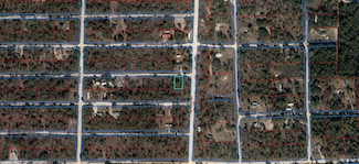 0 NE 65 St Unit MFROM684147, Williston, FL 32696
