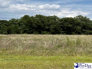 Lot 22 Governors Run Dr, Lamar, SC 29069