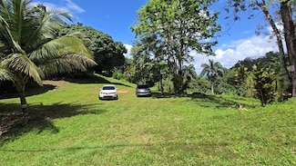 0 Bo Borinquen Unit MFRPR9113231, Caguas, PR 00725