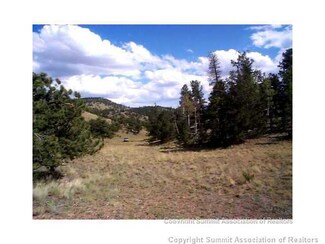 459 June Ln, Hartsel, CO 80449