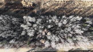 Parcel B Parameter Rd, Deer River, MN 56636