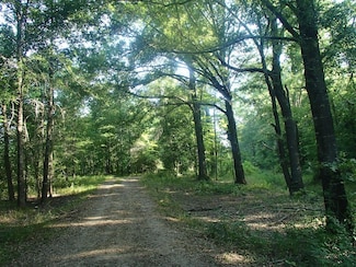 0 Highway 82 Rd Unit 25-2229, Starkville, MS 39759