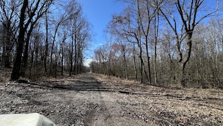 0 Gibson St, Paris, TN 38242