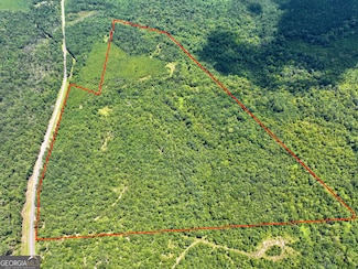 0 Liberty Grove Church Rd Unit 10640718, Wrightsville, GA 31096