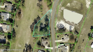 5303 Keysville Ave, Spring Hill, FL 34608