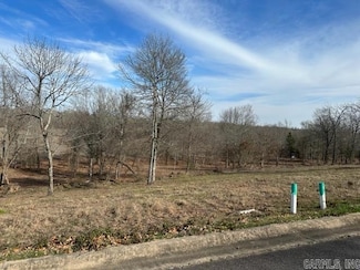 lot 31 W River Rd, Mayflower, AR 72106