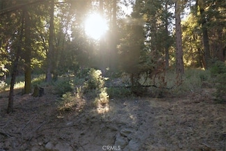 20 Burnt Mill Canyon Rd, Crestline, CA 92325