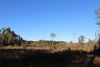 00 TBD Texas 150, Coldspring, TX 77331
