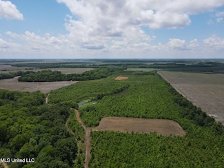 0 Brahan Rd, Sledge, MS 38670