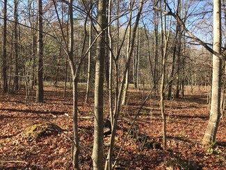 6 Hobbstown Rd, Dunlap, TN 37327